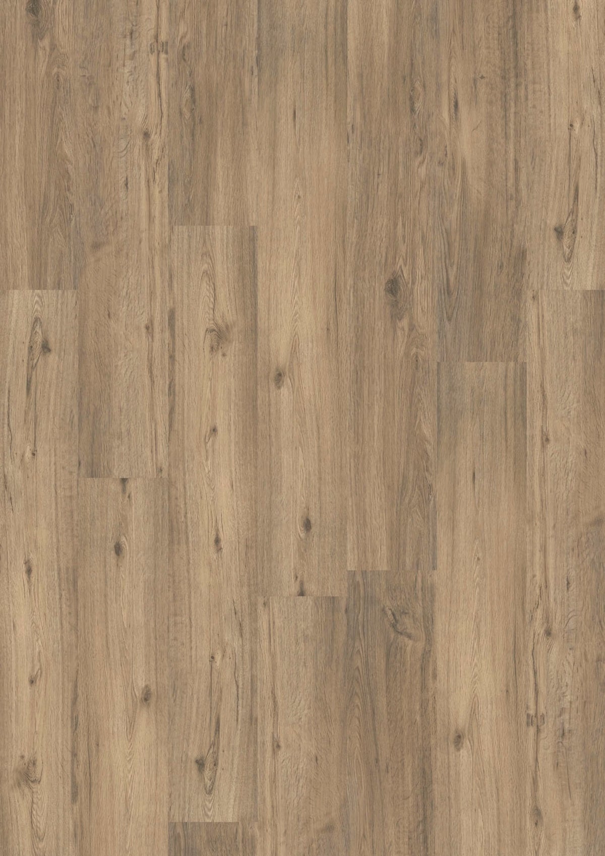 JOKA DESIGN 555 Click 509 Spring Oak EIR – Dekoransicht