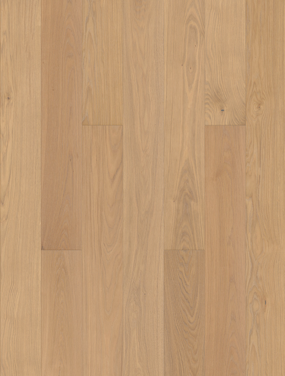 JOKA CALGARY 435 LD – E0214 Eiche creme ELEGANCE ÖL V4