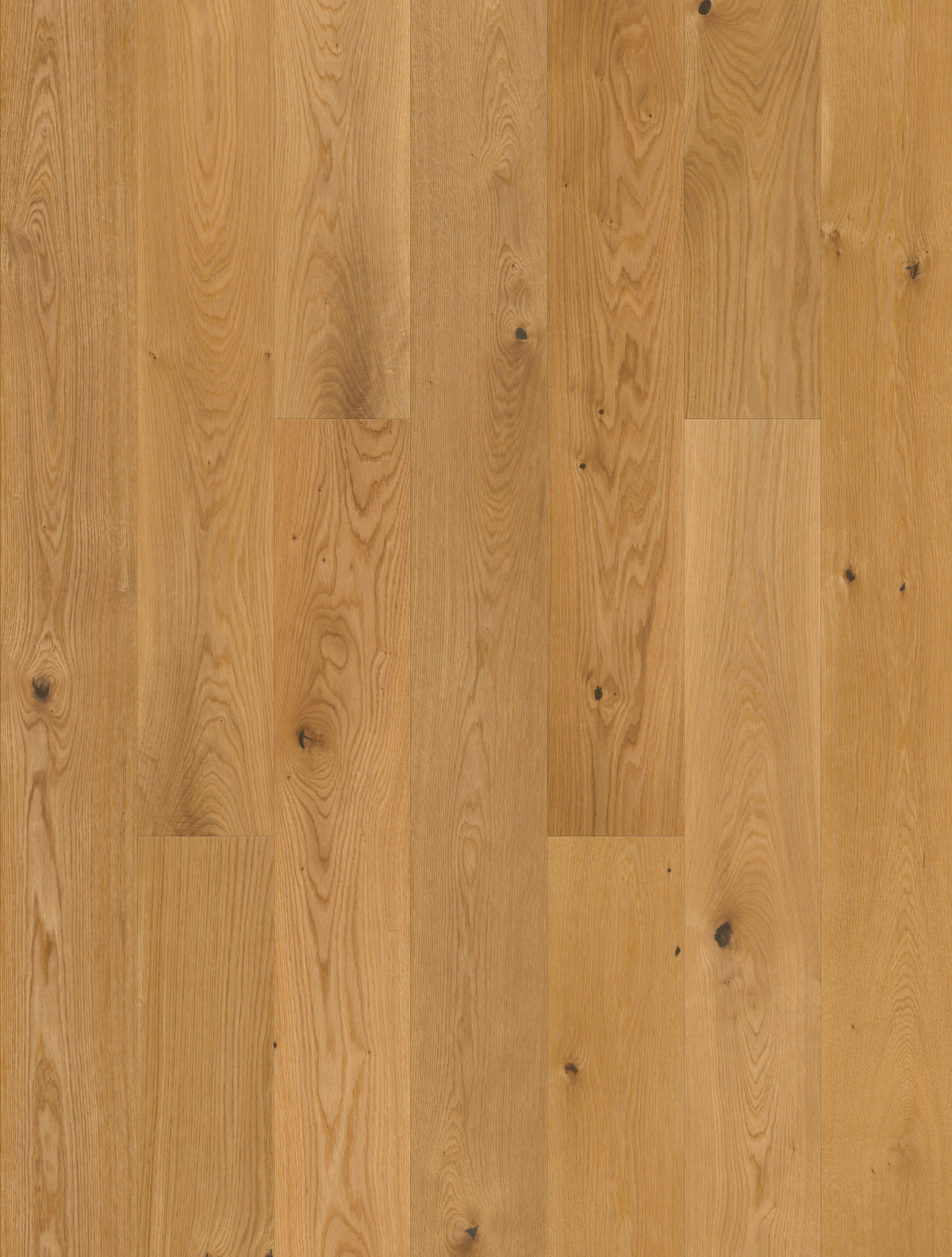 JOKA CALGARY 435 LD – E2203 Eiche gebürstet NATURE VP V4