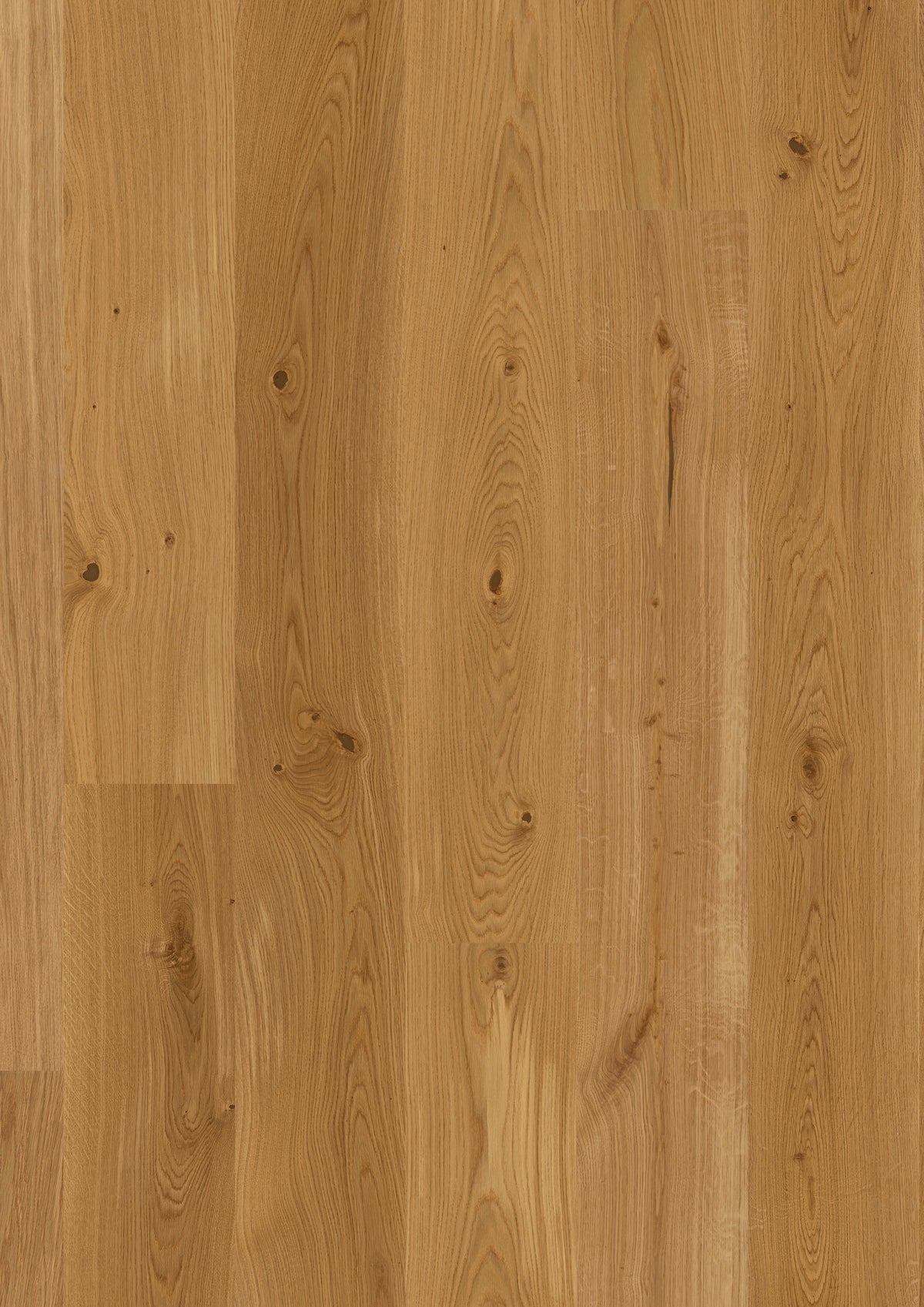 JOKA CALGARY 535 LD – E1003 Eiche gebürstet NATURE VP
