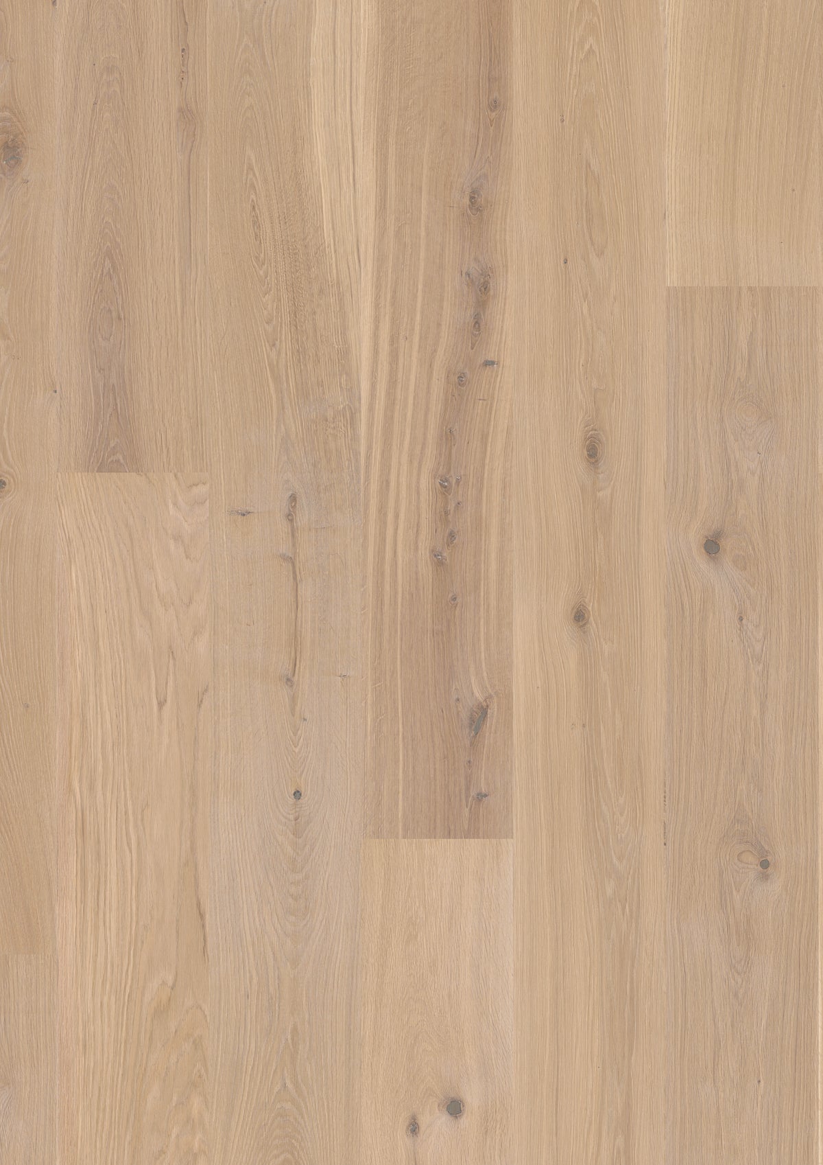 JOKA CALGARY 535 LD – E1114 Eiche creme NATURE ÖL
