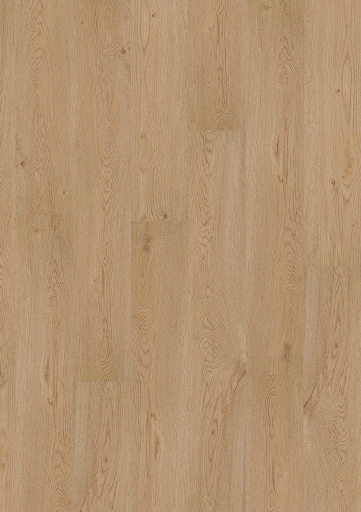 JOKA DESIGN 340 Dryback – 2881 Earthy Oak EIR, Dekoransicht