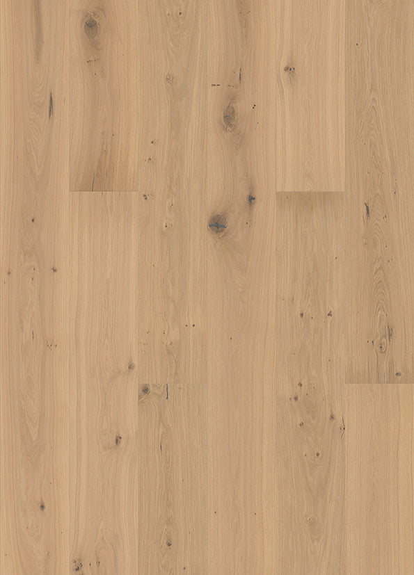 JOKA HOMEline 332 LDX Edition – E5714 Eiche creme VILLA V4