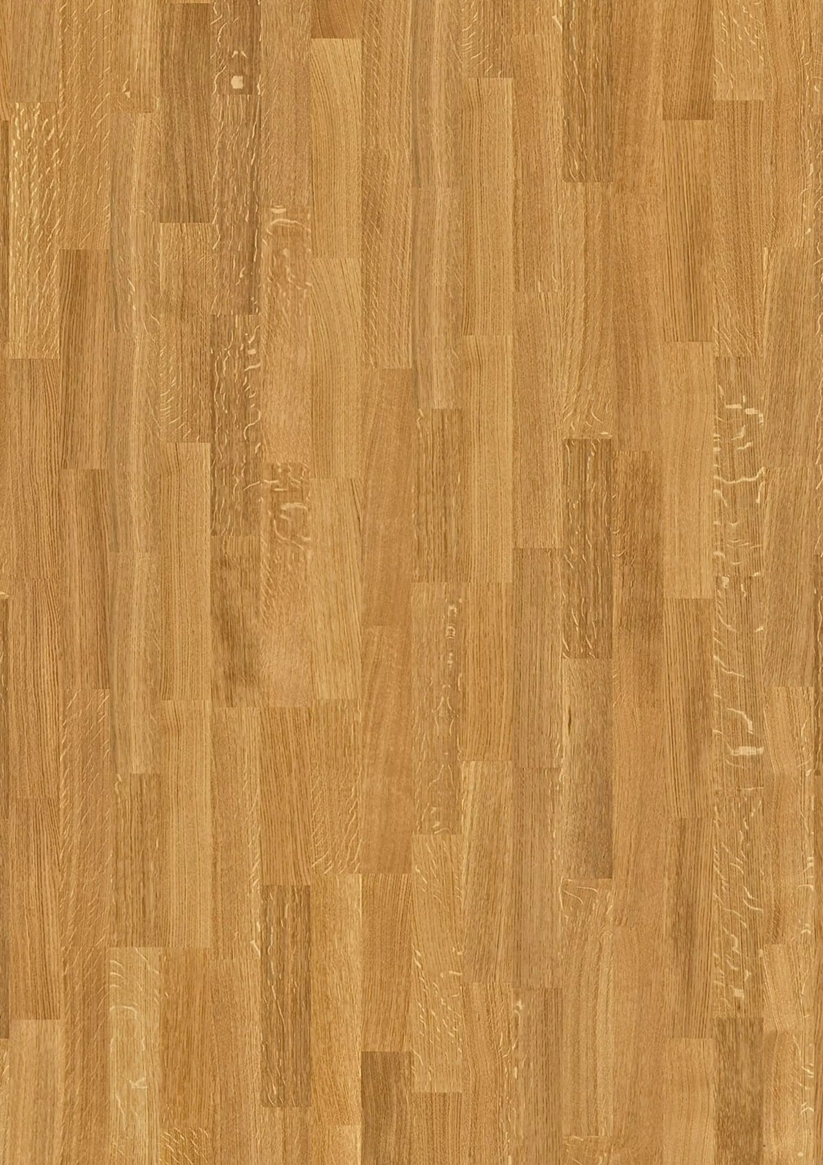 JOKA KINGSTON 535 SB E0801 Eiche ELEGANCE VM