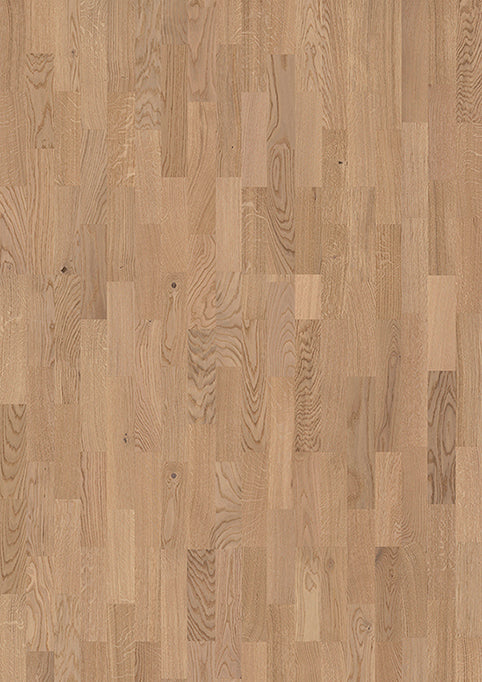 JOKA KINGSTON 535 SB E1822 Eiche vanilla NATURE VM