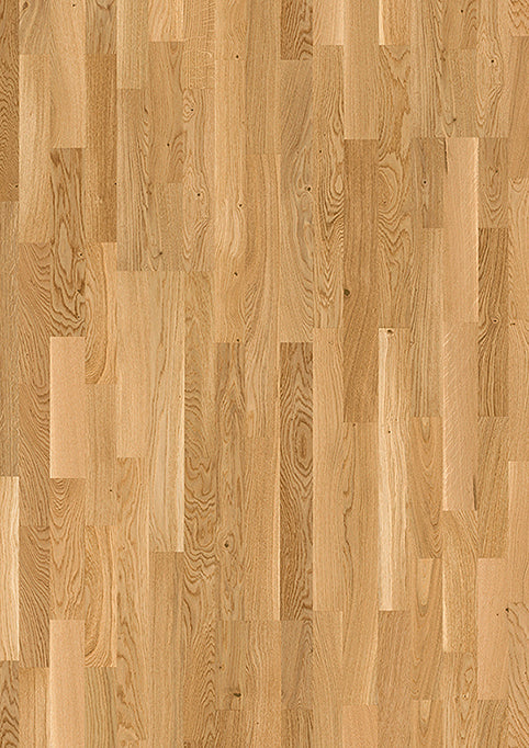 JOKA KINGSTON 535 SB E5801 Eiche VILLA VM