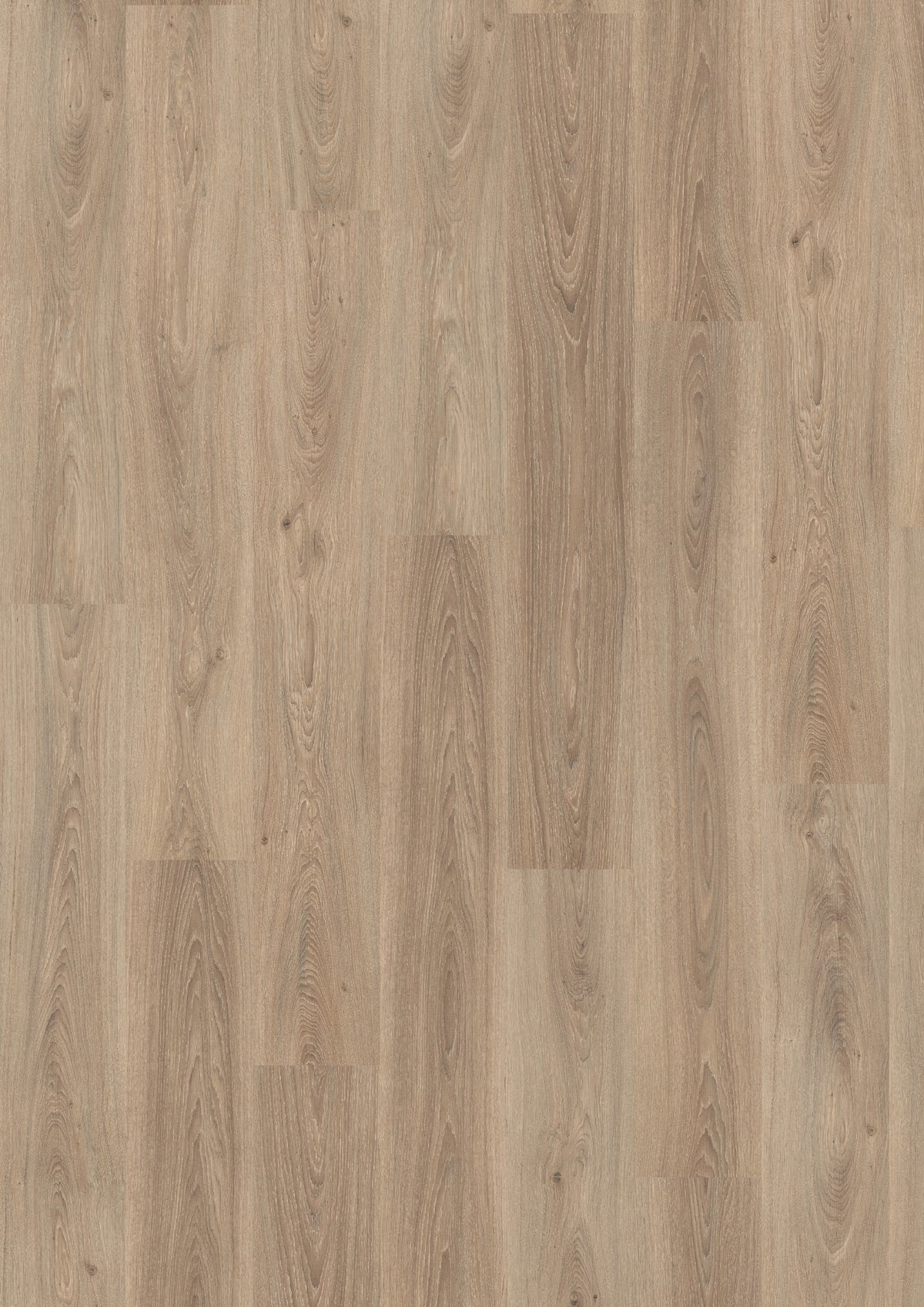 JOKA MANHATTAN 332NP – 3830 Oak soft grey